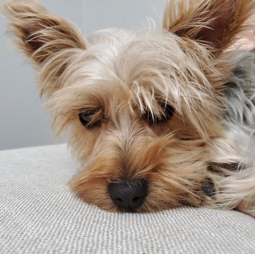 Meet your Posher, Kristina